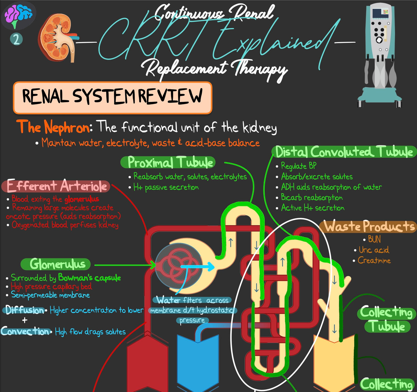 CRRT Explained Notes (PDF)