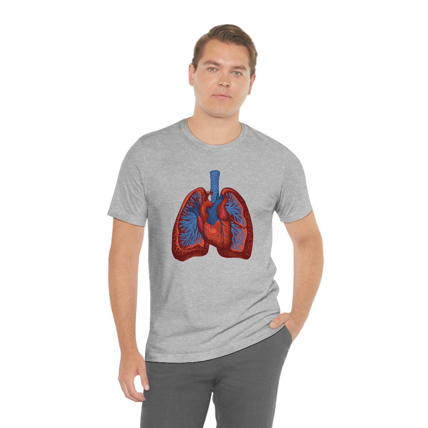 Heart and Lungs (Color)