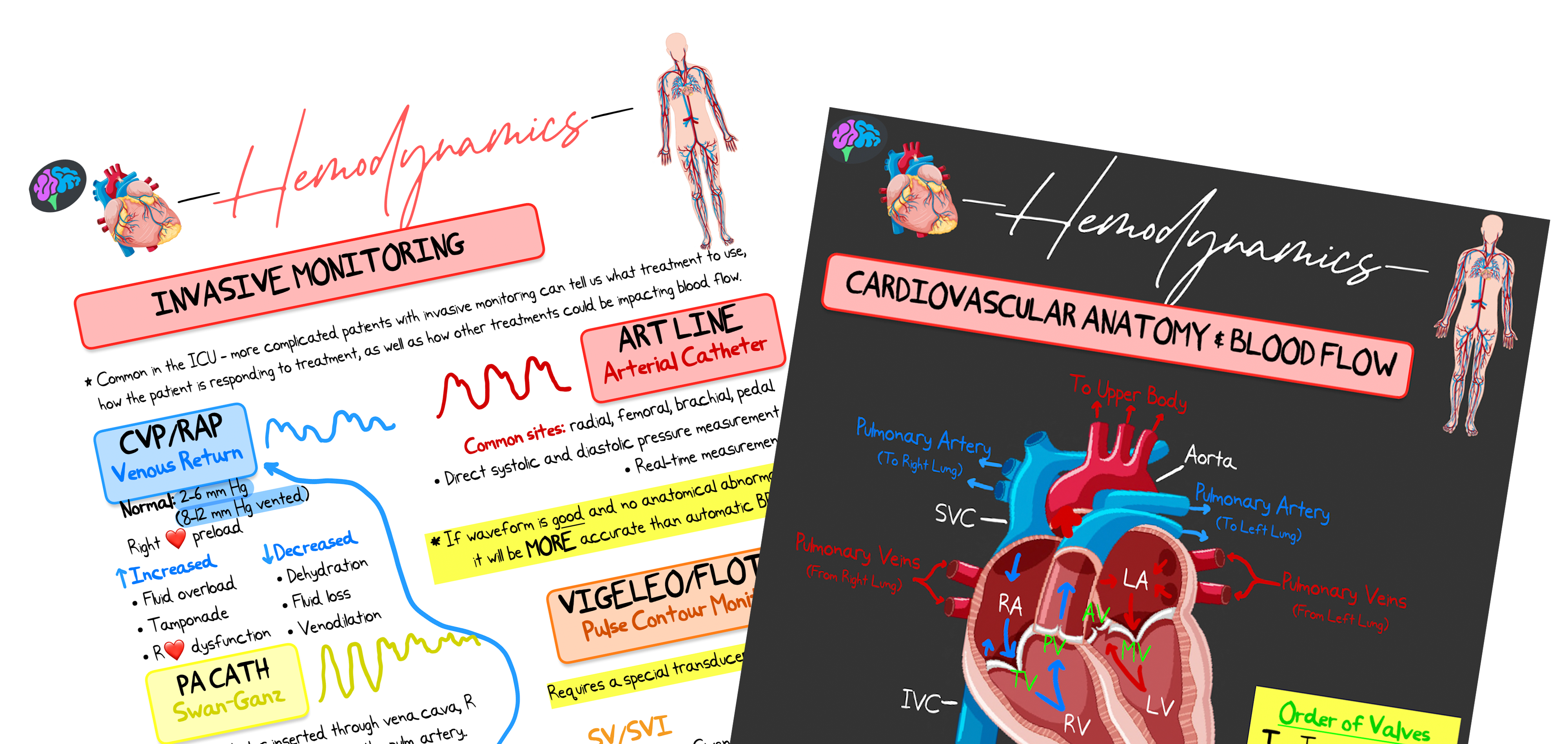 Hemodynamics Principle Notes (PDF) – ICU Advantage