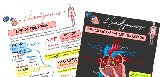 Hemodynamics Principle Notes (PDF)