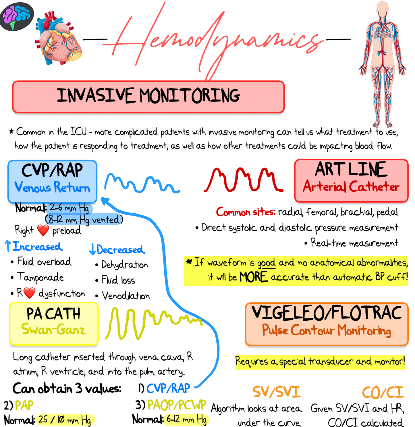 Hemodynamics Principle Notes (PDF)