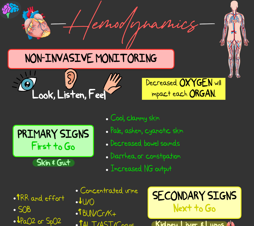 Hemodynamics Principle Notes (PDF)