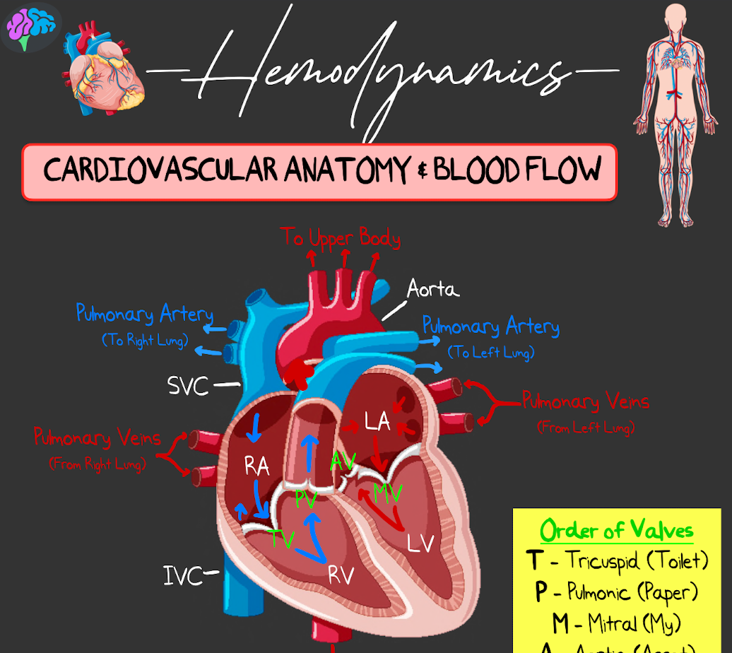 Hymodiamic Notes Hemodynamics Principle Notes (PDF) – ICU Advantage