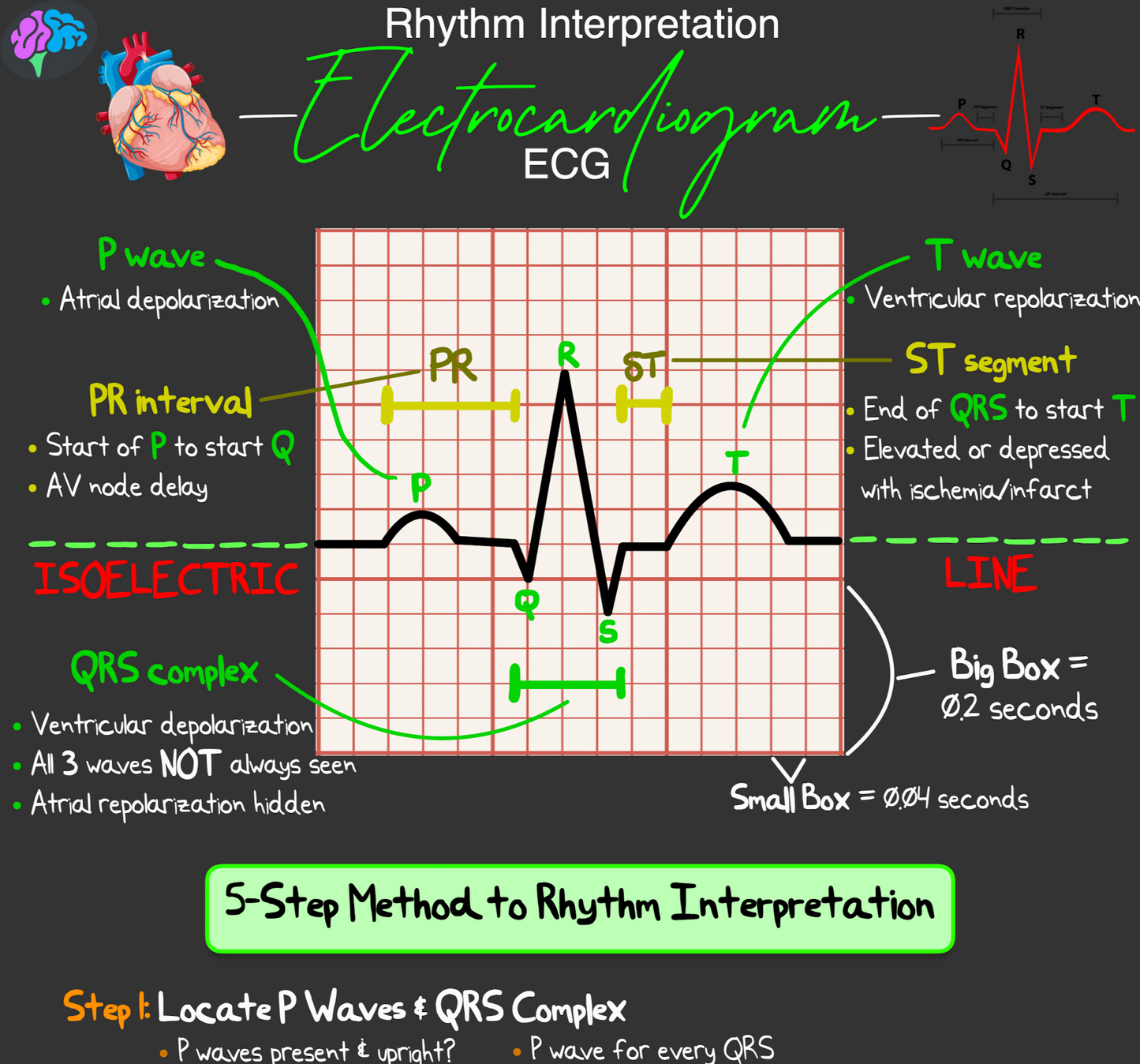 Rhythm Interpretation Notes (PDF)