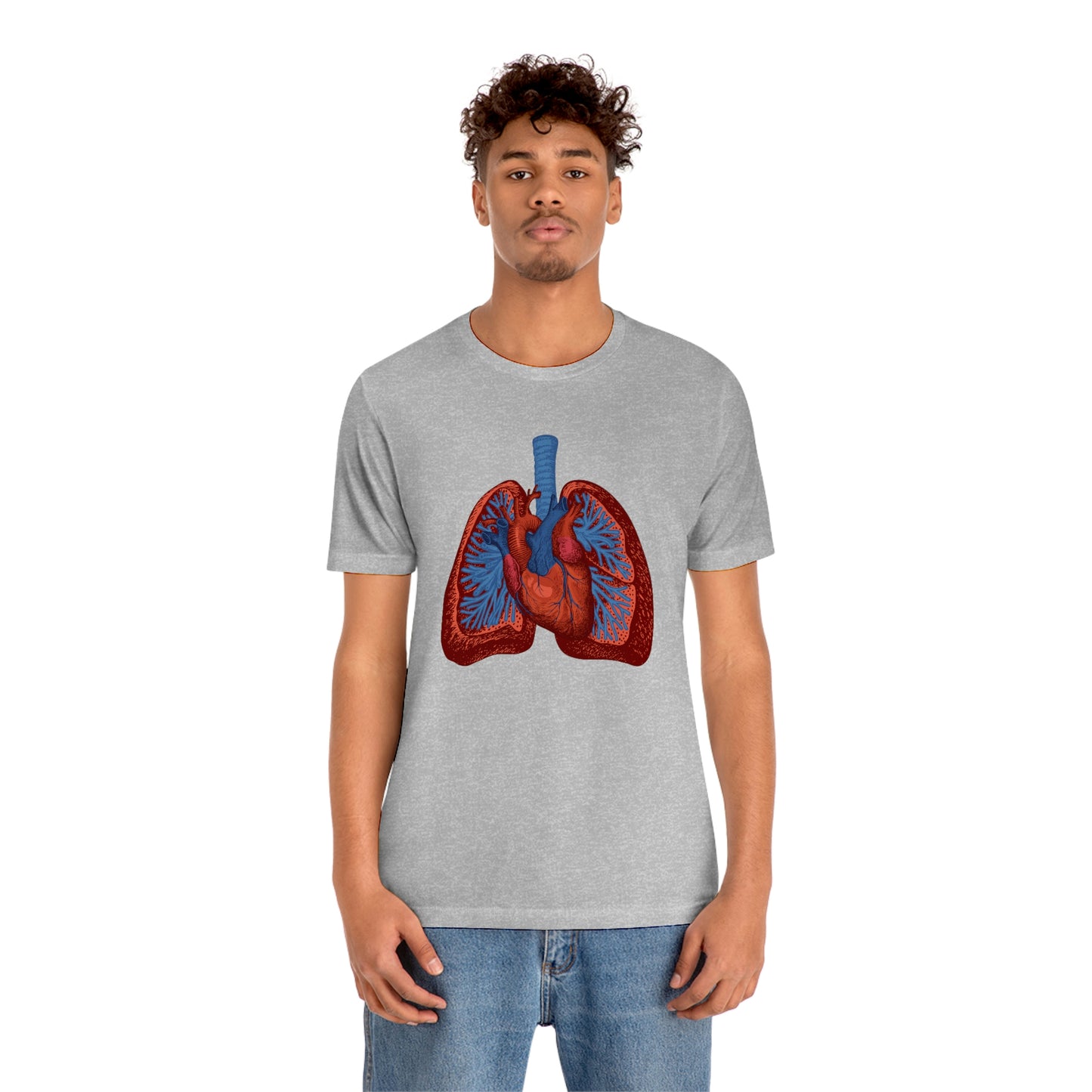 Heart and Lungs (Color)