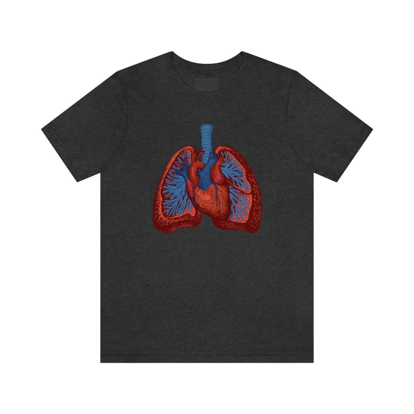 Heart and Lungs (Color)