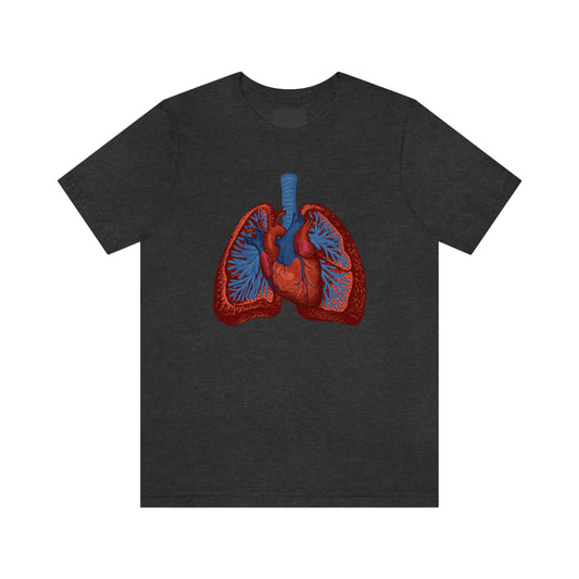 Heart and Lungs (Color)