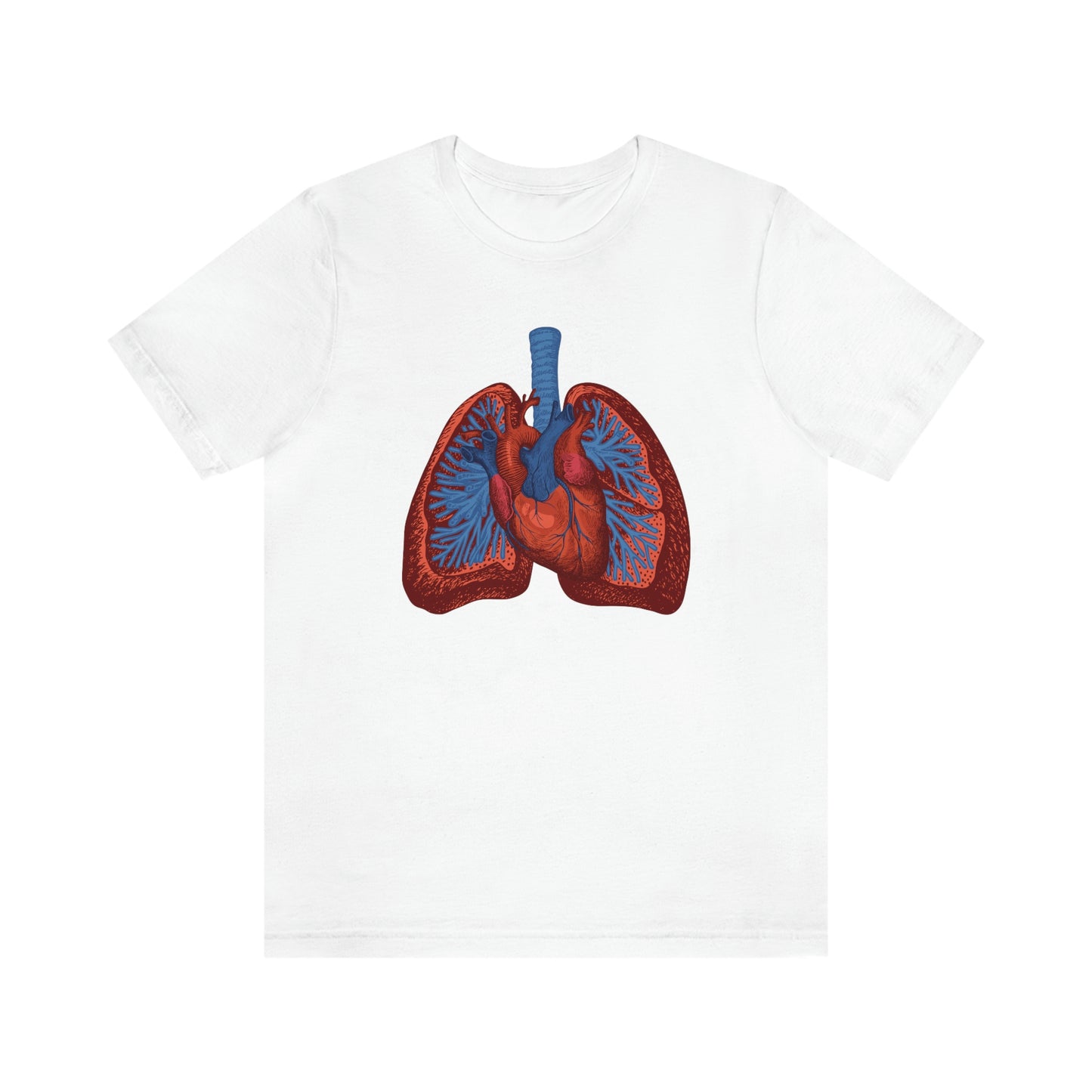 Heart and Lungs (Color)