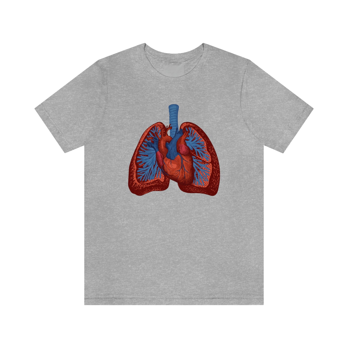 Heart and Lungs (Color)