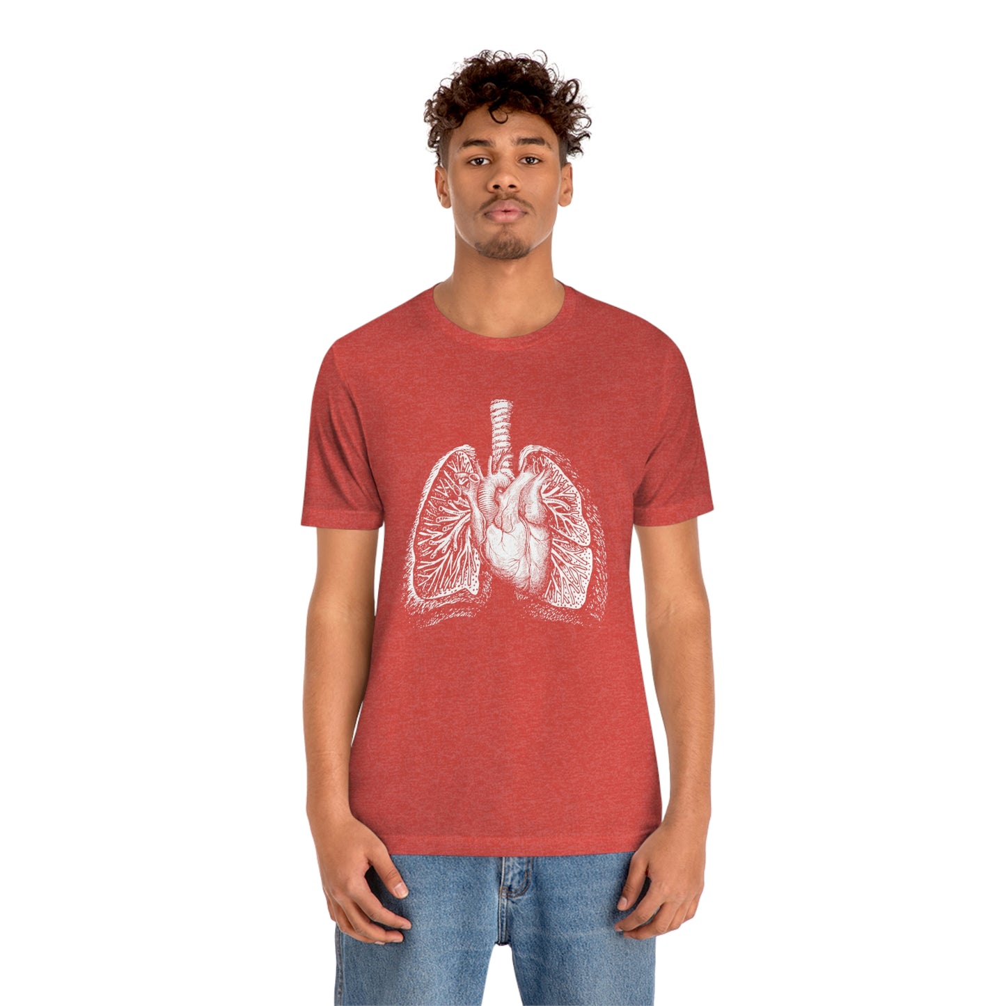 Heart and Lungs (White)