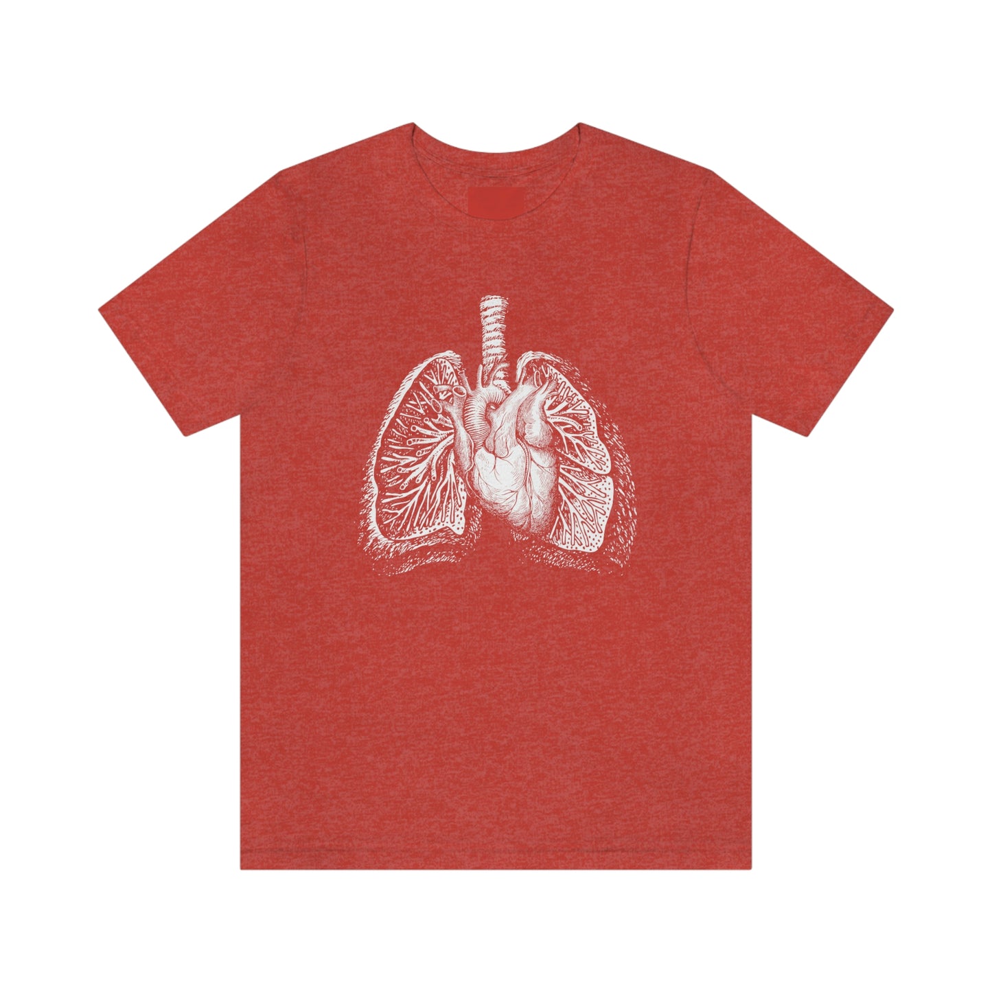 Heart and Lungs (White)