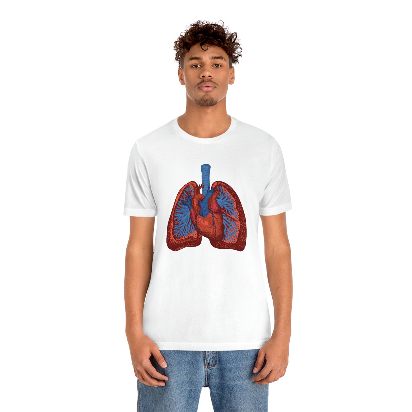 Heart and Lungs (Color)